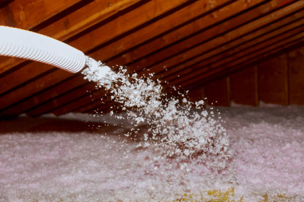 Best DIY Insulation Kits and Guidance in Southside, AL